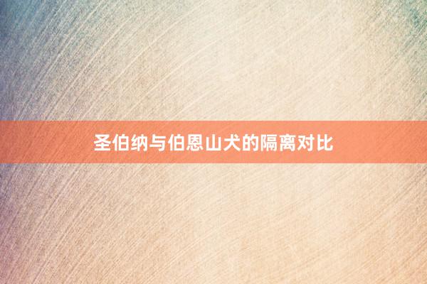 圣伯纳与伯恩山犬的隔离对比