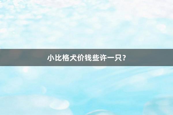 小比格犬价钱些许一只？