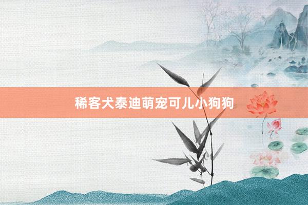 稀客犬泰迪萌宠可儿小狗狗